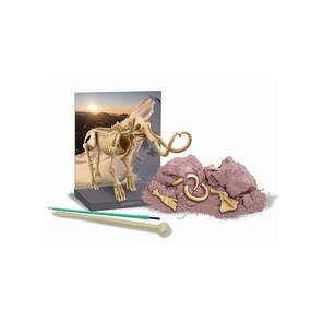 4M KidzLabs – Mamut İskeleti Kazısı